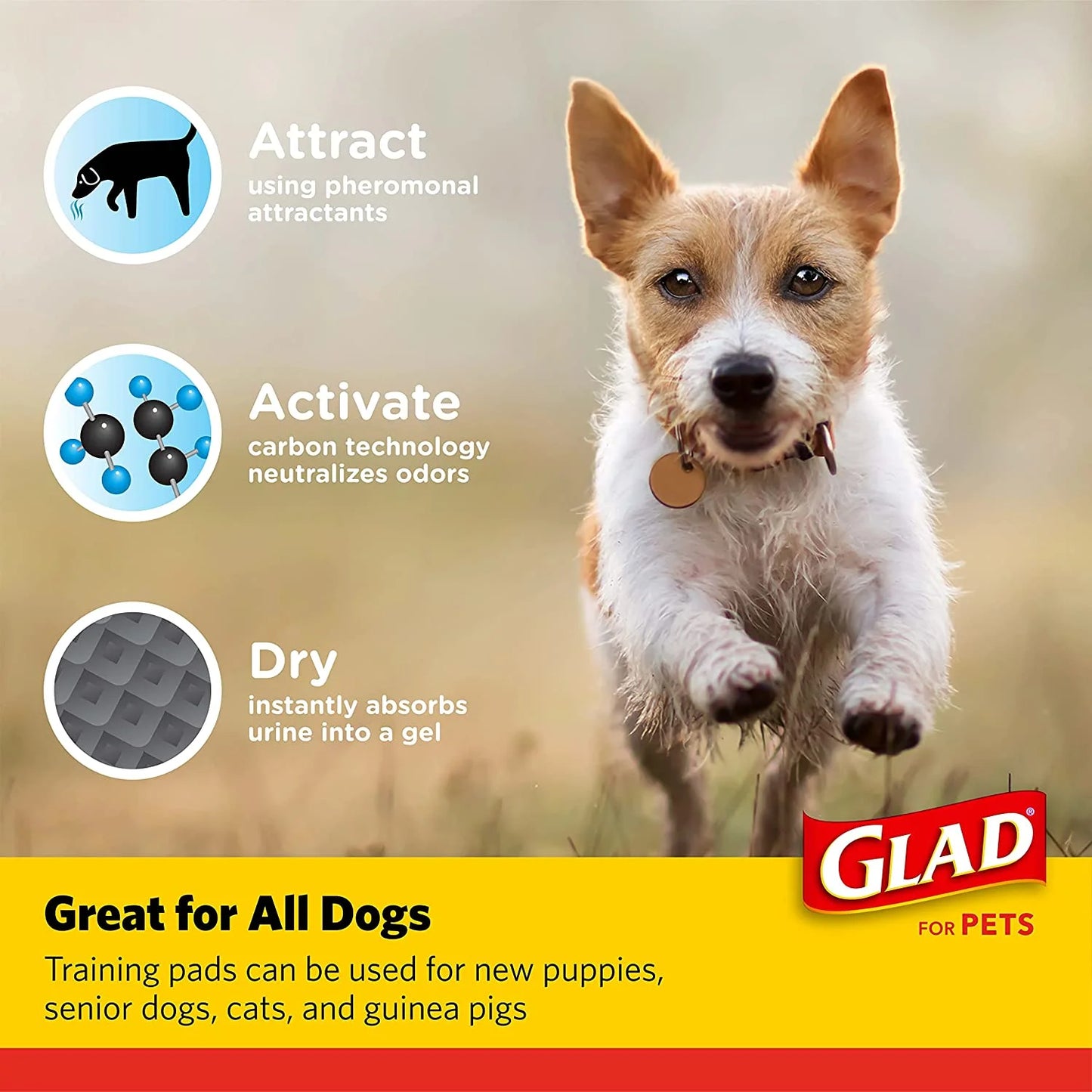 (2 Pack) Activated Charcoal Leak-Resistant Training Pads for Dogs, 23In X 23In, 100 Count