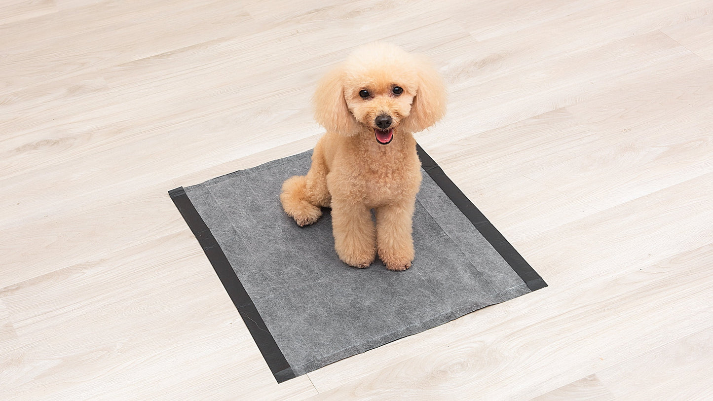 (2 Pack) Activated Charcoal Leak-Resistant Training Pads for Dogs, 23In X 23In, 100 Count