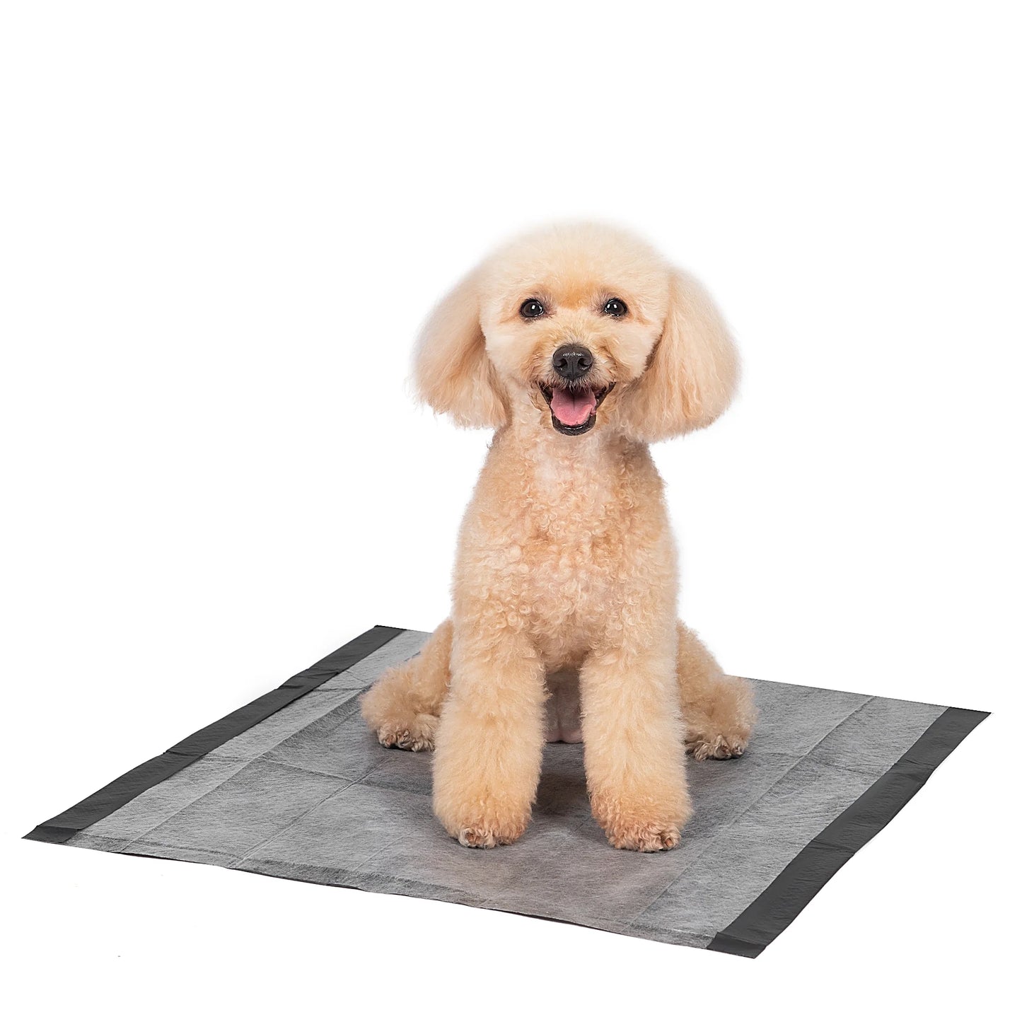 (2 Pack) Activated Charcoal Leak-Resistant Training Pads for Dogs, 23In X 23In, 100 Count